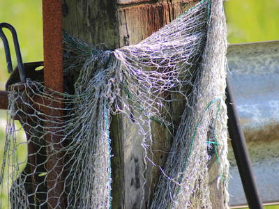 Bild 28 aus  Ferienhof Nordseeblick ****