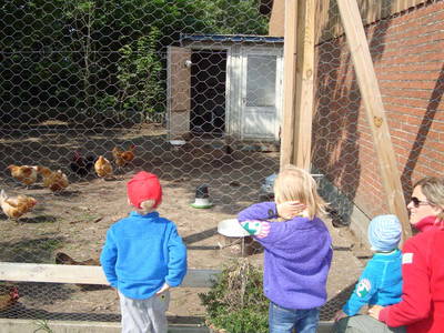 Bild 4 aus  Houdam Farm