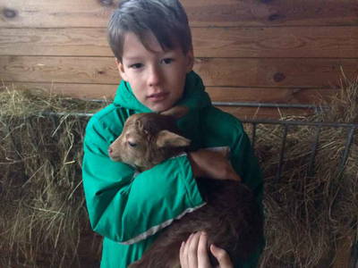 Bild 14 aus  Pferdehof Ruhnau FN