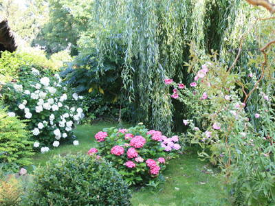 Bild 8 aus  Quellenhof