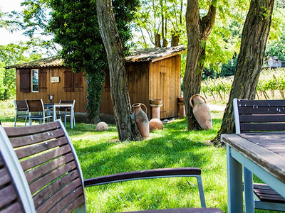 Bild 8 aus  Winzerhof Wiedemann