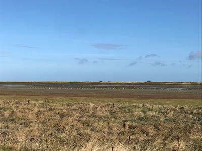 Bild 36 aus  Luftsnapper & Fellnasen