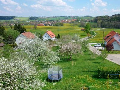 Bild 2 aus  Landhof Orf