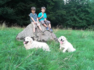 Bild 6 aus  Ferienparadies am Rennweg