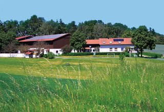 Lindenhof - Bild 2
