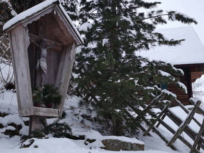 Bild 44 aus  Größingalm