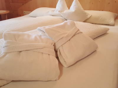 Bild 338 aus  Der Ortnerhof