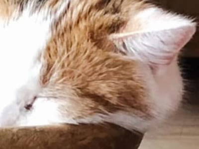 Bild 52 aus  Ascherhof