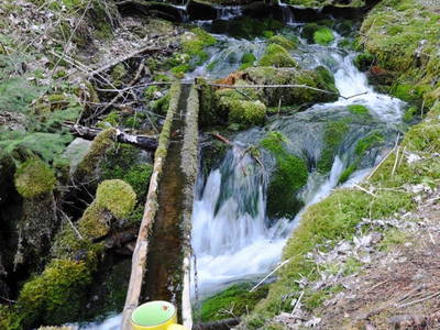 Bild 84 aus  Pöllauerhof