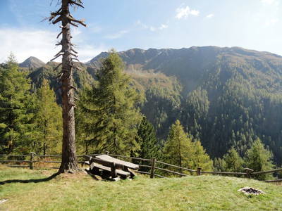 Bild 19 aus  Suntinger Kasa