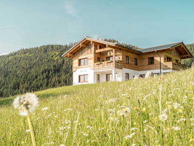 Bild 2 aus  Bio Bauernhof Oberhinterberg