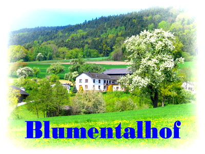 Bild 8 aus Blumentalhof