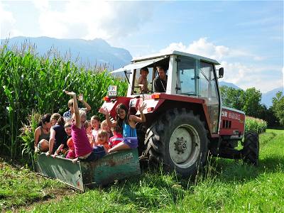Bild 19 aus Familienbauernhof Glawischnig-Hofer