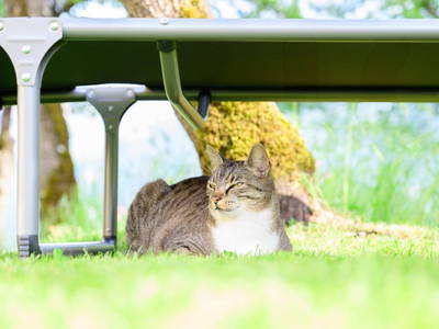 Bild 71 aus  Landhaus Sofie