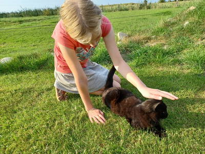 Bild 12 aus  Ferienhof Nordorfer Grashaus