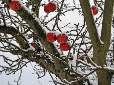 Bild 22 aus  Hof Rotherd 