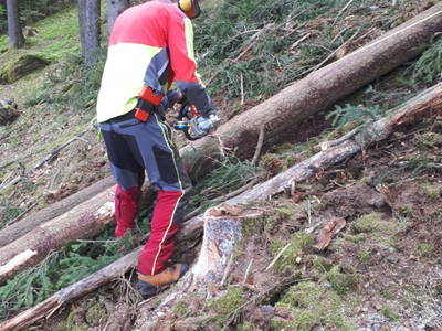 Bild 92 aus  Holzblockhütten am Koflerhof