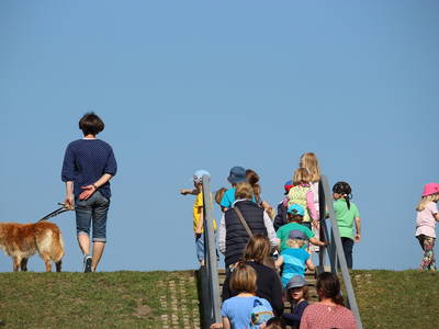 Bild 25 aus  Ferienhof Presener Deichkrone