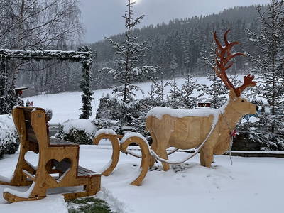 Bild 15 aus  Hacknerhof