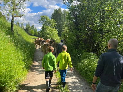 Bild 37 aus  Naturparkbauernhof - Kaiserhof