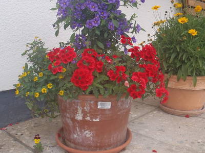 Bild 13 aus  Rußbachbauer