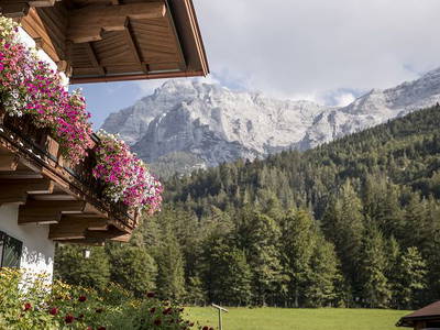 Bild 43 aus  Ascherbauer