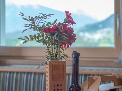 Bild 137 aus  Kinderbauernhof Albeineler Pitztal Tirol