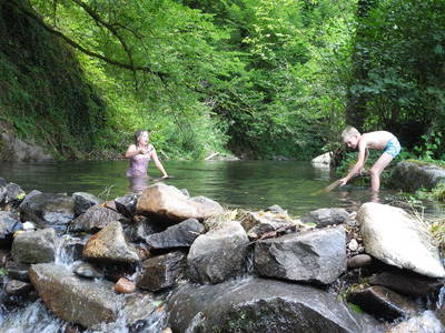 Bild 6 aus  Hanselishof