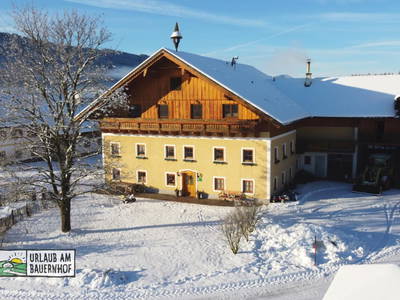 Bild 241 aus Kinderparadies Bachbauer