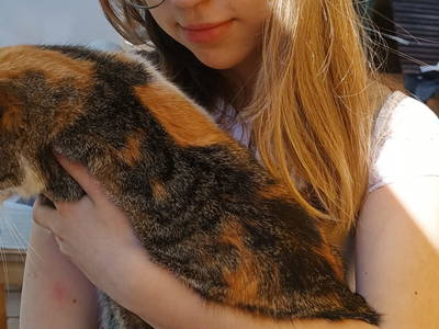 Bild 248 aus  Bräuhauser