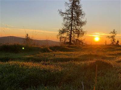 Bild 40 aus Glatz Hof