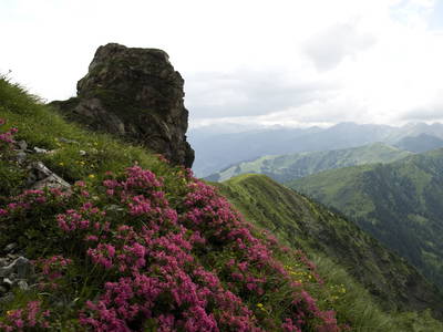 Bild 34 aus  Palfenhof