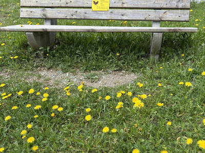 Bild 133 aus Riatschhof