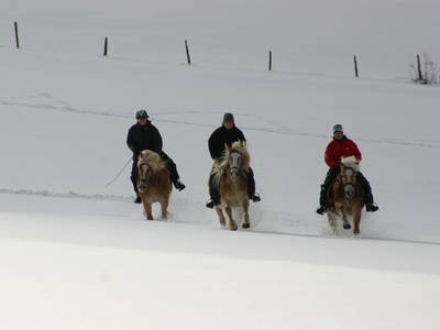 Bild 24 aus  Schaglhof