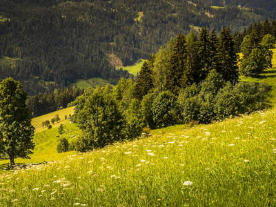 Bild 110 aus  Oberegghof