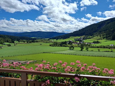 Bild 7 aus  Mosergut