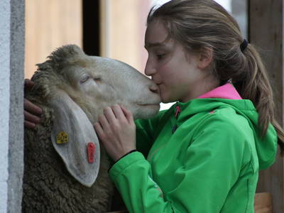 Bild 39 aus  Marteshof