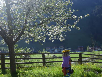 Bild 52 aus  Chalet Gretchenruhe