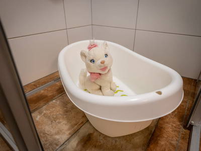 Bild 47 aus  Familienzeit am Motzenhof