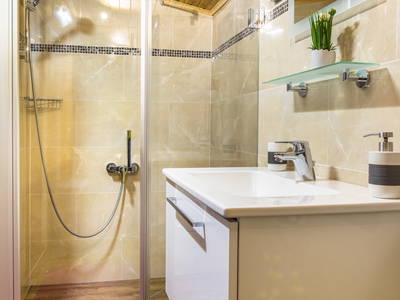 Bild 31 aus  Schwammerlhütte