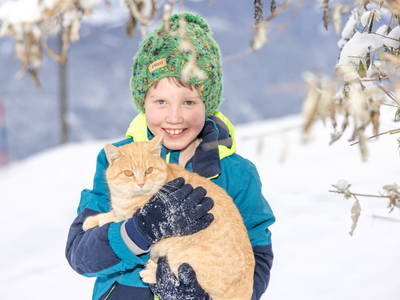 Bild 43 aus  Tom's Alpenhütte