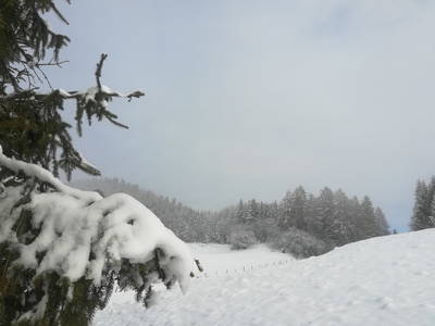 Bild 55 aus  Sörgerwirt