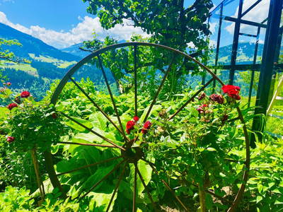 Bild 4 aus  Erbhof Hinting + Appartementhaus Hinting