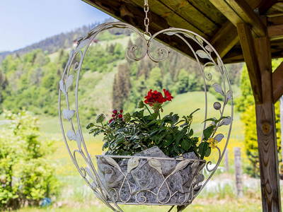 Bild 28 aus Aignerhof