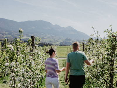 Bild 7 aus  Hainzlmeirhof mit Blick in die Berge