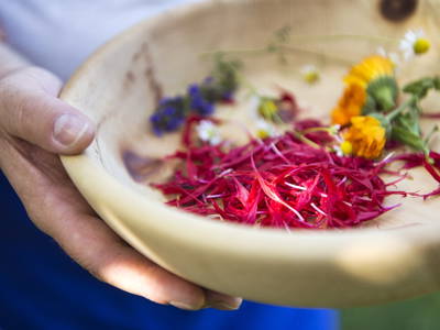 Bild 5 aus  Traubenhof    Pures Leben-Echt und natürlich