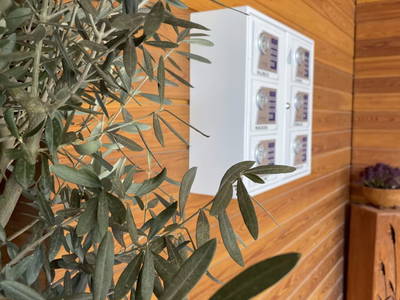 Bild 3 aus  Gut Schlafen - Am Kogl