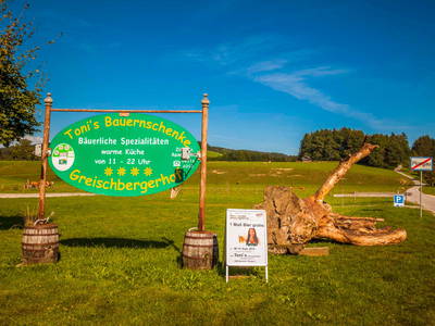 Bild 55 aus  Greischbergerhof