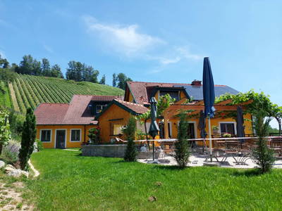 Bild 87 aus  Weingut Stoff