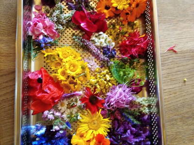 Bild 28 aus  Bräuhauser